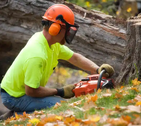 tree services South Vacherie